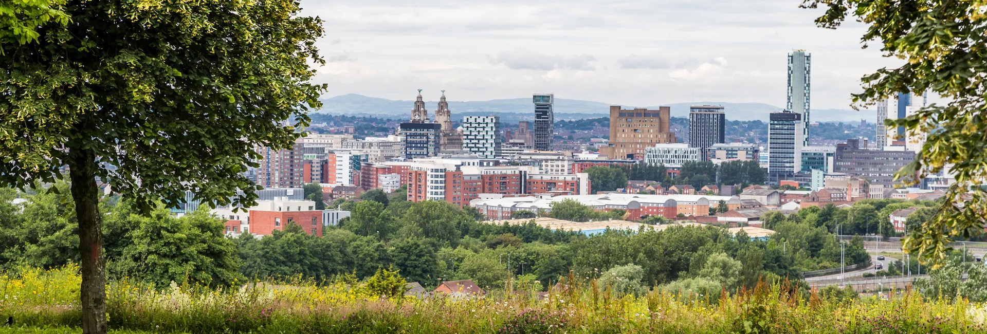 Panoramic city skyline framed by trees with a meadow of wildflowers, red brick buildings, glass towers, and distant hills under a cloudy sky.