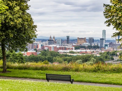 A park with a black bench on a grassy field, blooming wildflowers, and trees framing a distant city skyline of tall buildings under a cloudy sky.